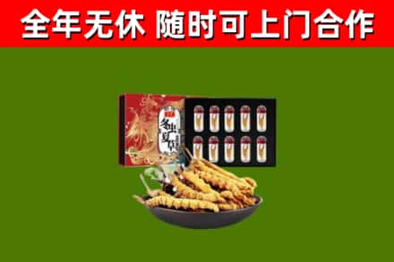 铁门关市回收冬虫夏草价格