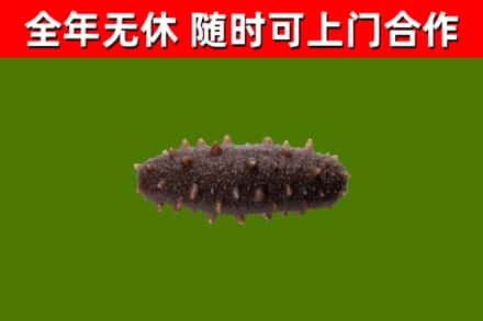 铁门关市烟酒回收干海参.jpg